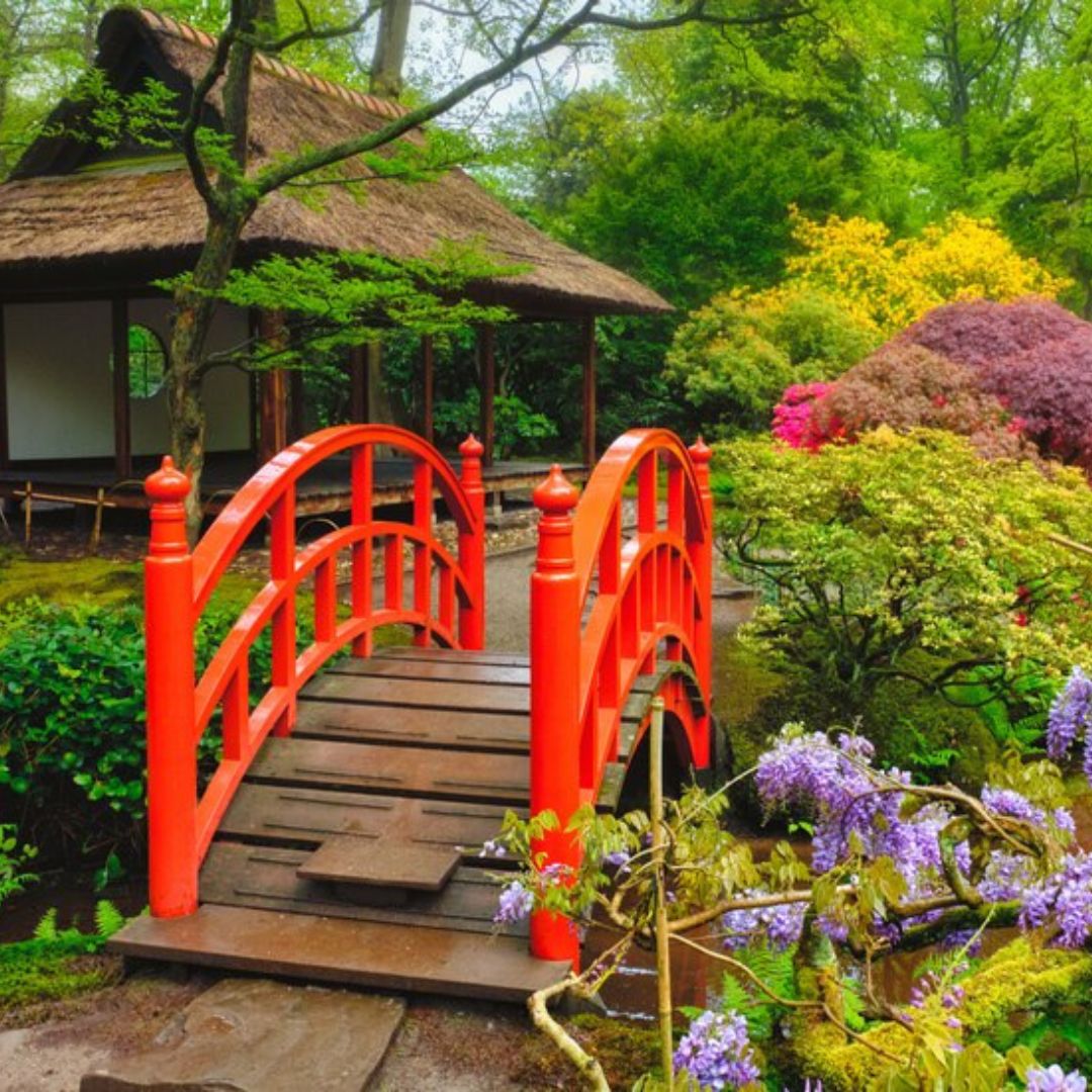L'eau Hydrogénée au Japon